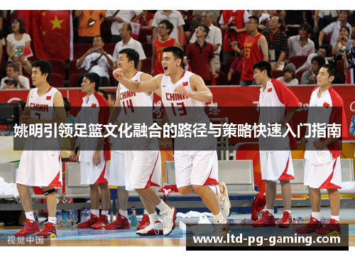 姚明引领足篮文化融合的路径与策略快速入门指南