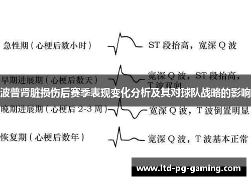 波普肾脏损伤后赛季表现变化分析及其对球队战略的影响