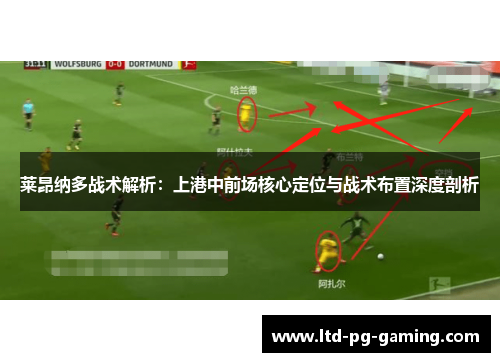莱昂纳多战术解析：上港中前场核心定位与战术布置深度剖析